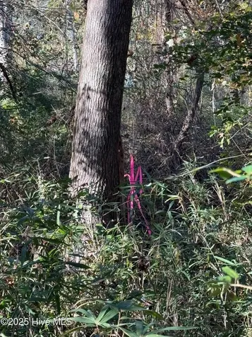 Lot 1 Alton Phillips Road Kinston NC 28504