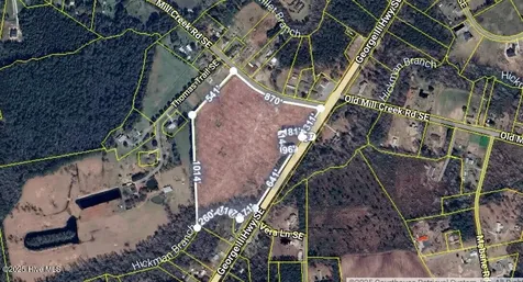 20.88 Acre Hwy 87/mill Creek Bolivia NC 28422