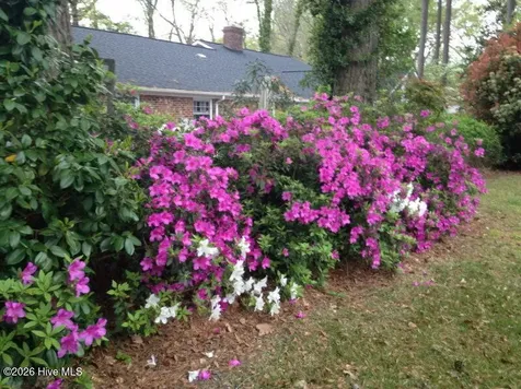 903 E Woodlawn Drive Williamston NC 27892