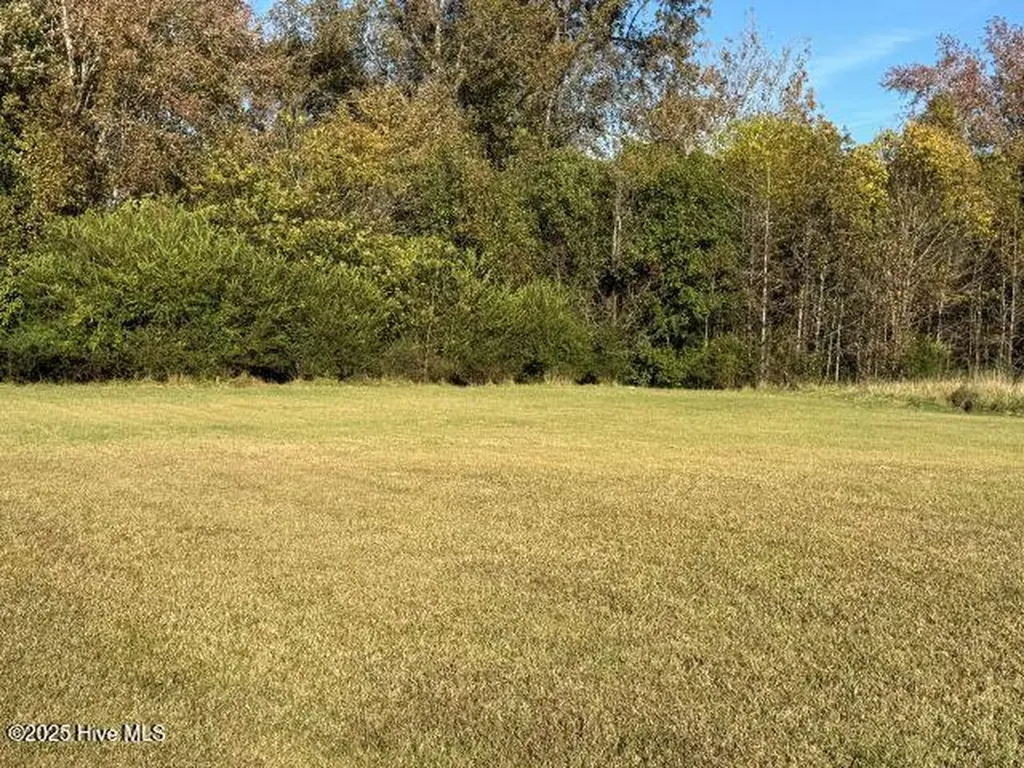 113 Pinewood Drive Ahoskie NC 27910