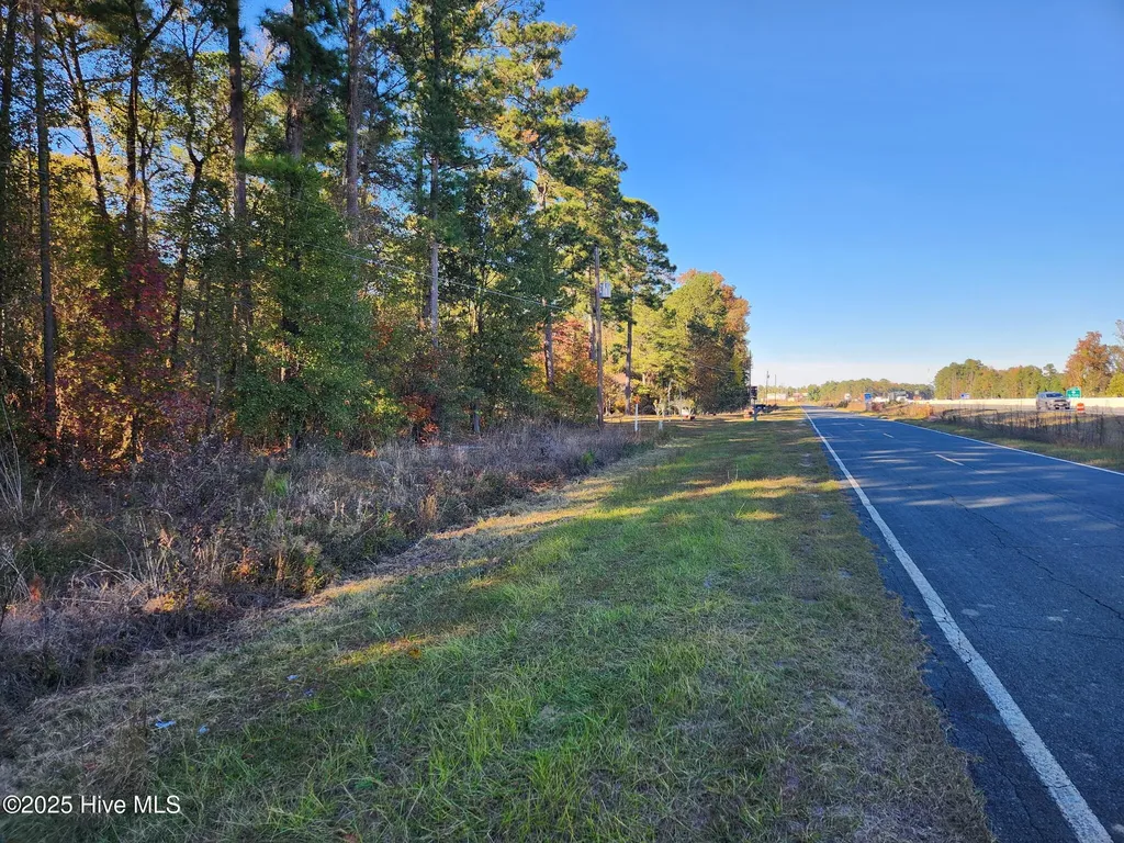 0 Cedar Grove Church Road Saint Pauls NC 28384