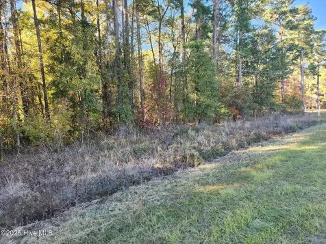 0 Cedar Grove Church Road Saint Pauls NC 28384