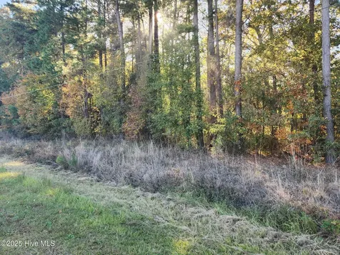 0 Cedar Grove Church Road Saint Pauls NC 28384