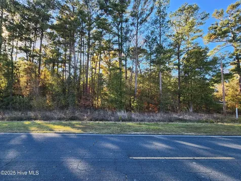 0 Cedar Grove Church Road Saint Pauls NC 28384