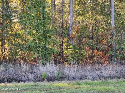 0 Cedar Grove Church Road Saint Pauls NC 28384