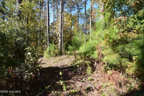 1005 Alabaster Drive New Bern NC 28562
