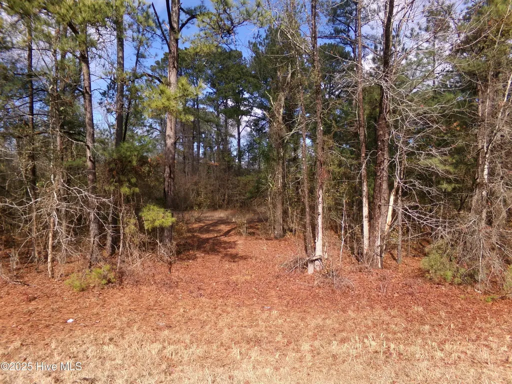Near 273 Kenric Road Lumberton NC 28358