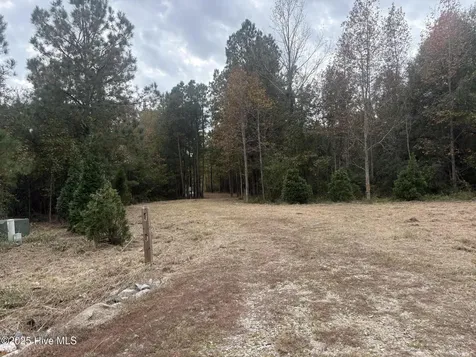 408 Tarpon Pointe Road Bath NC 27808