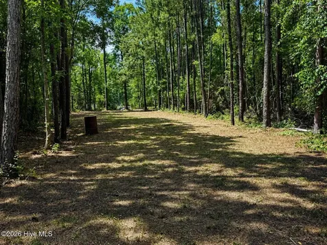 408 Tarpon Pointe Road Bath NC 27808