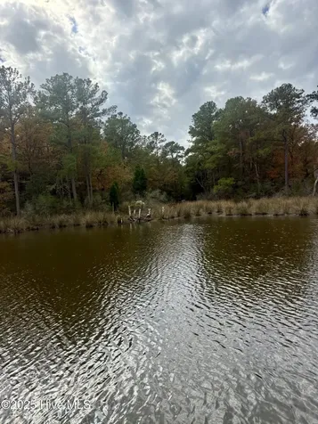 408 Tarpon Pointe Road Bath NC 27808