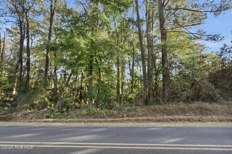 00 E Pleasant Hill Road Pink Hill NC 28572