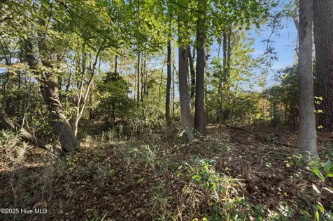 00 E Pleasant Hill Road Pink Hill NC 28572