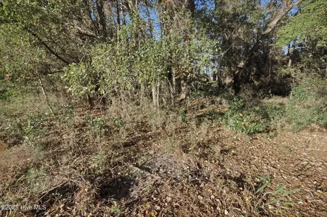 00 E Pleasant Hill Road Pink Hill NC 28572