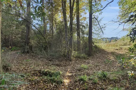 00 E Pleasant Hill Road Pink Hill NC 28572