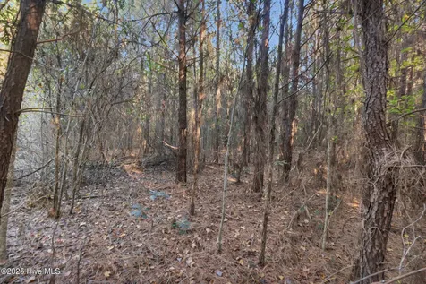 00 E Pleasant Hill Road Pink Hill NC 28572