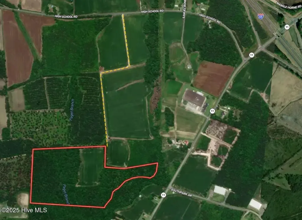 41.5 Acres High School Road Teachey NC 28464