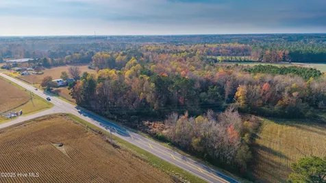 41.5 Acres High School Road Teachey NC 28464