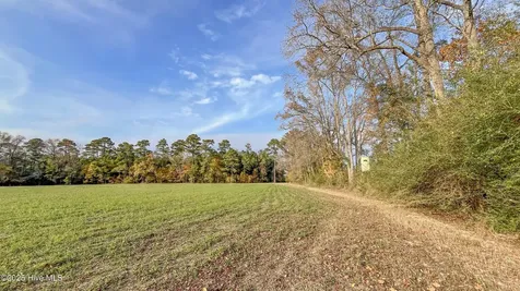 41.5 Acres High School Road Teachey NC 28464