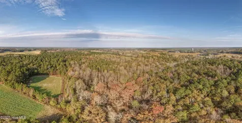 41.5 Acres High School Road Teachey NC 28464