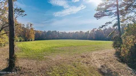 41.5 Acres High School Road Teachey NC 28464