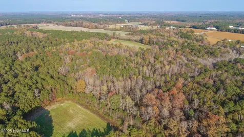 41.5 Acres High School Road Teachey NC 28464