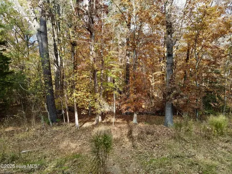 0 Williams Road Williamston NC 27892
