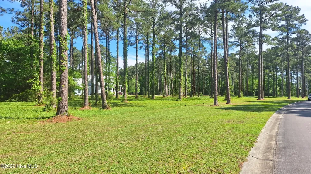156 Dawson Creek Boulevard Oriental NC 28571