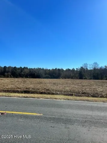 Lot 2 Wire Grass Road Orrum NC 28369