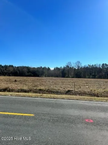 Lot 1 Wire Grass Road Orrum NC 28369