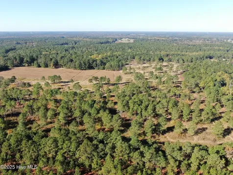0 W Magnolia-lisbon Road Rose Hill NC 28458