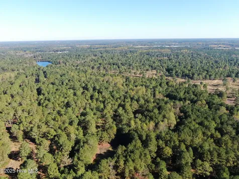 0 W Magnolia-lisbon Road Rose Hill NC 28458