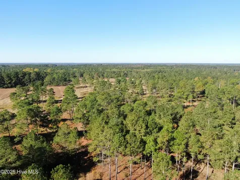0 W Magnolia-lisbon Road Rose Hill NC 28458