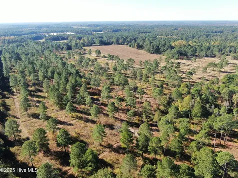 0 W Magnolia-lisbon Road Rose Hill NC 28458