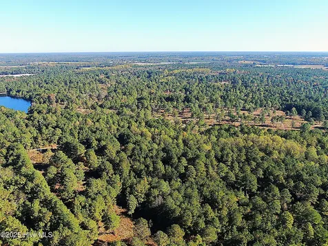 0 W Magnolia-lisbon Road Rose Hill NC 28458