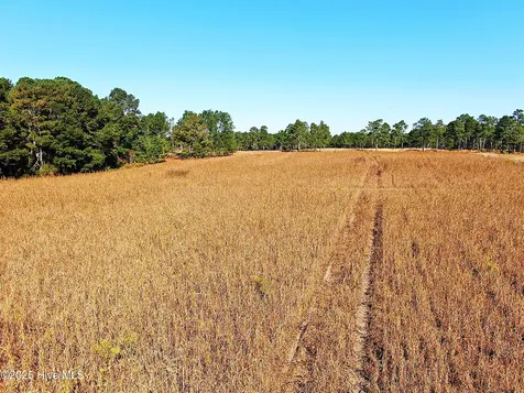 0 W Magnolia-lisbon Road Rose Hill NC 28458