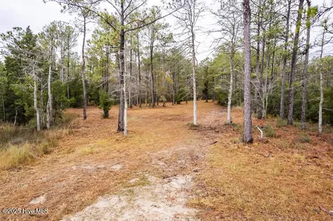 202 Mills Road Oriental NC 28571