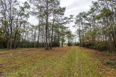 202 Mills Road Oriental NC 28571