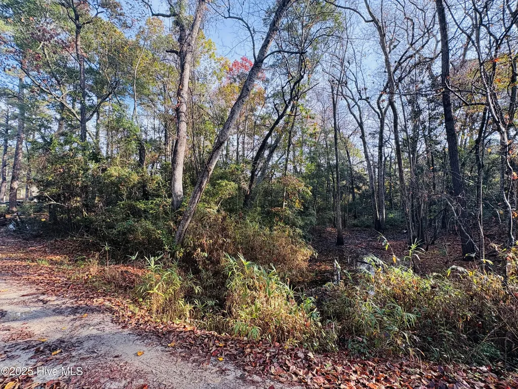 1574 Hollywood Street SW Shallotte NC 28470