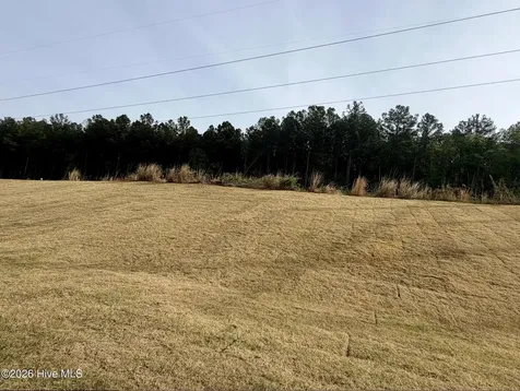 300 Bluejay Street Clayton NC 27520