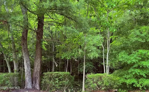 2810 Canal Cove Road Lake Waccamaw NC 28450