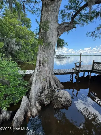 2810 Canal Cove Road Lake Waccamaw NC 28450