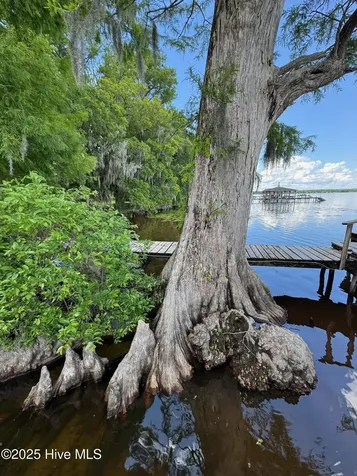 2810 Canal Cove Road Lake Waccamaw NC 28450