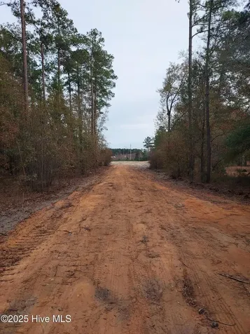 Tbd Palmer Road Marston NC 28363