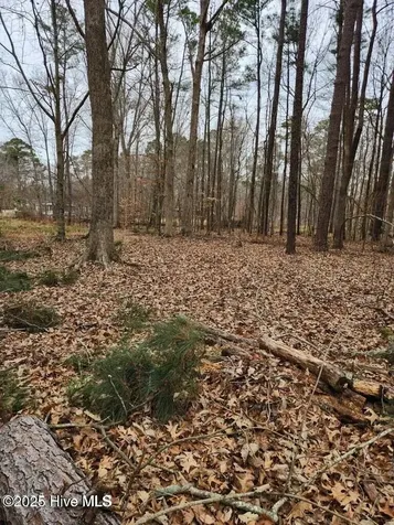 146 Tranquility Lane Hertford NC 27944