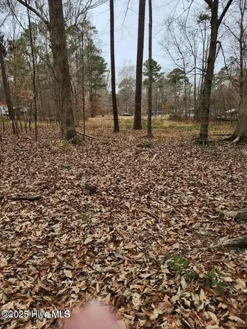 146 Tranquility Lane Hertford NC 27944