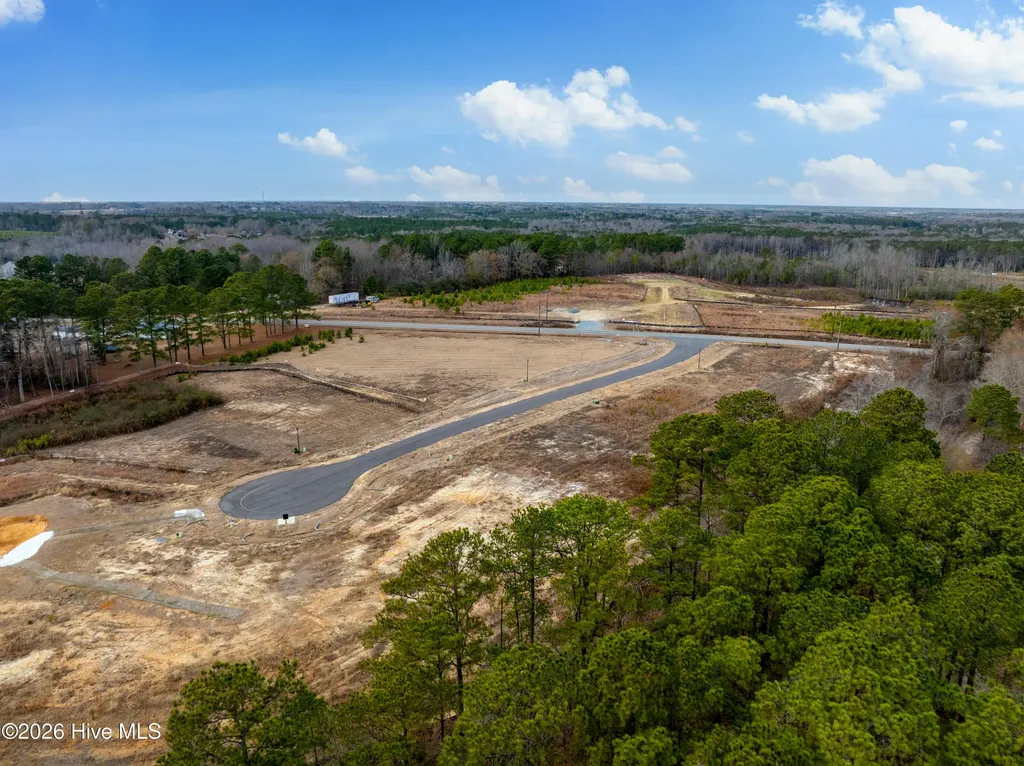 28 Stellars Sea Court Benson NC 27504