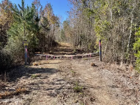 7399 Burney Road White Oak NC 28399