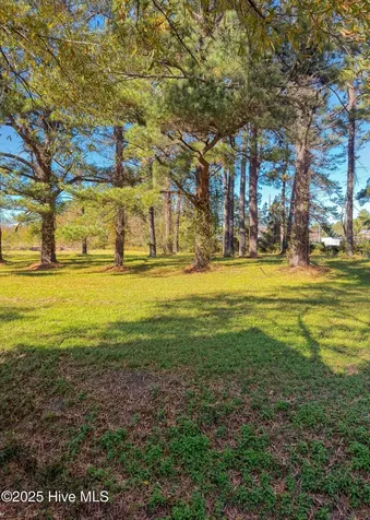 3101 Neuse Boulevard New Bern NC 28560