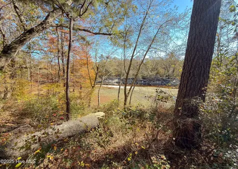 167 River Ridge Drive Wallace NC 28466