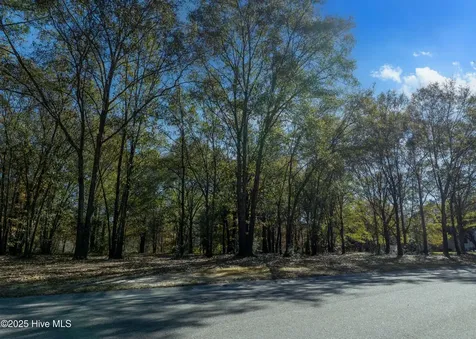 167 River Ridge Drive Wallace NC 28466